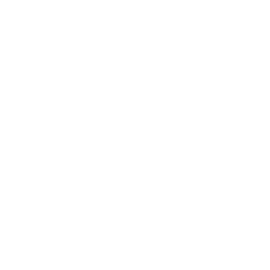 MDM Digital Solutions
